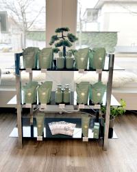 images/sampledata/pomphair/Galerie Keune Neu/Bild-3.jpg